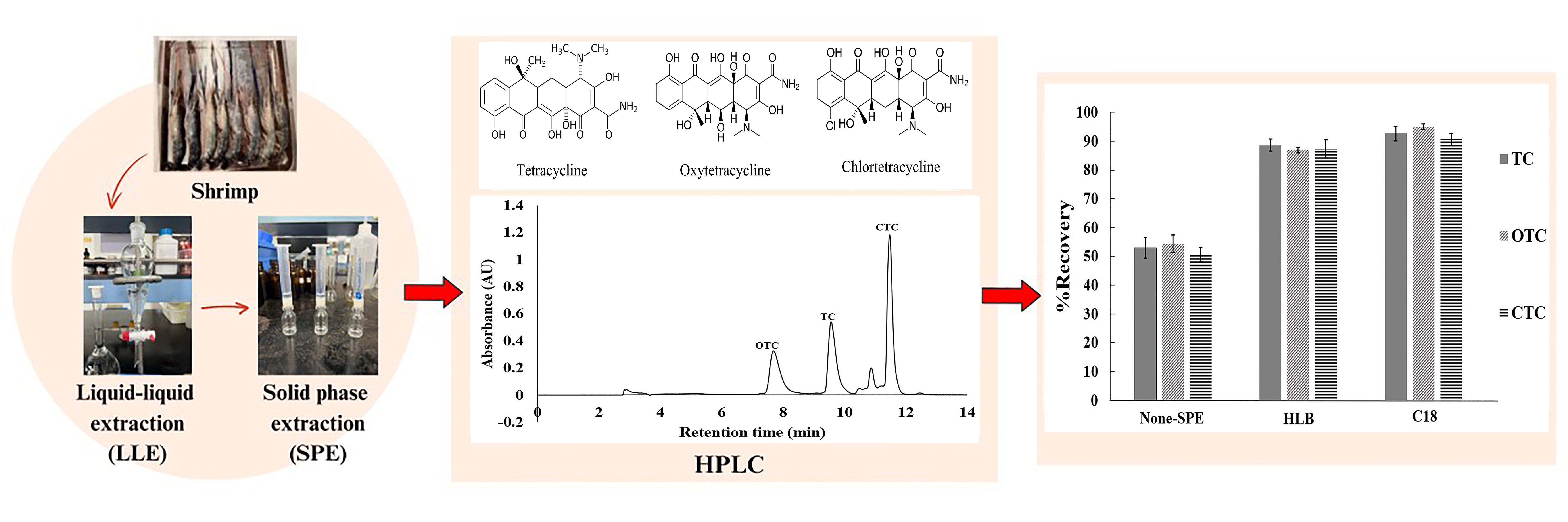 AST-2024-003_R2_P_Graphical Abstract_001.jpg